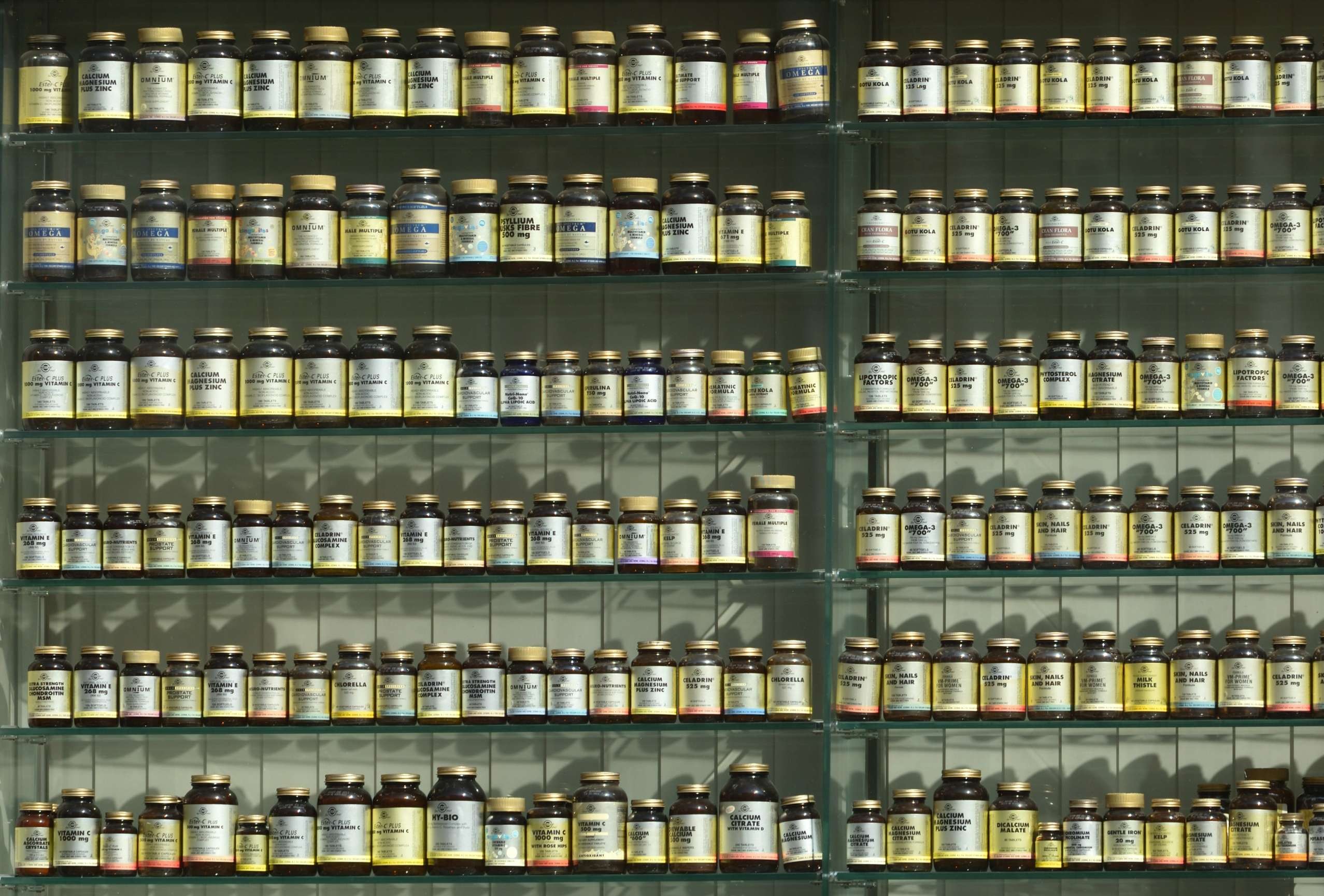 Read more about the article Top 5 supplement brands in California